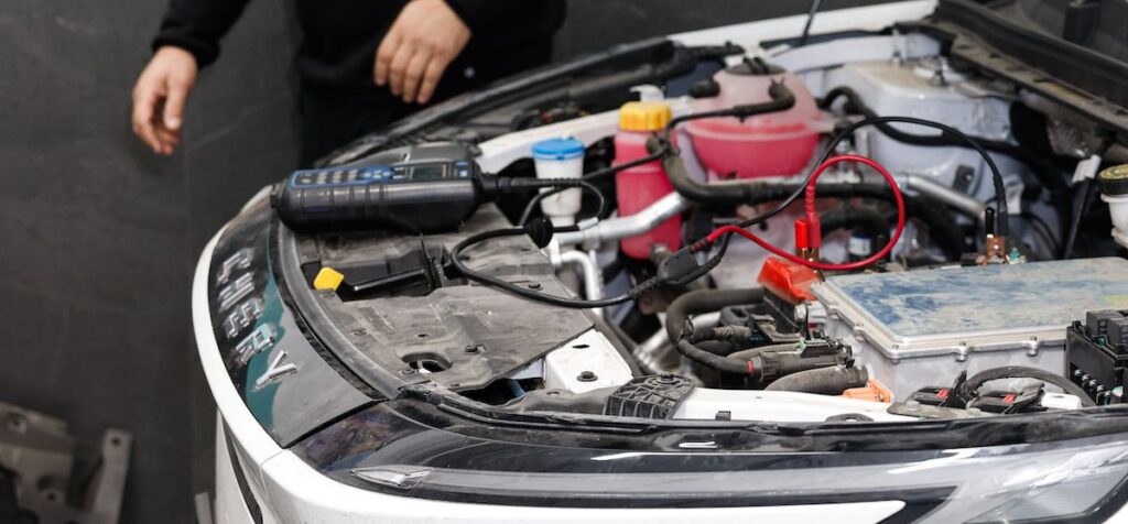 דודי אור | מרכז שירות פריסבי בראשון לציון